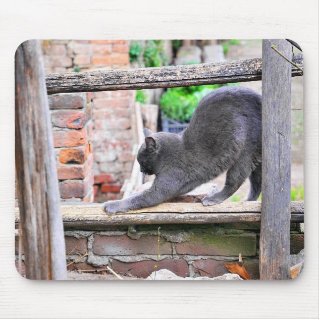 Sich streckende Katze Mousepad (Vorne)