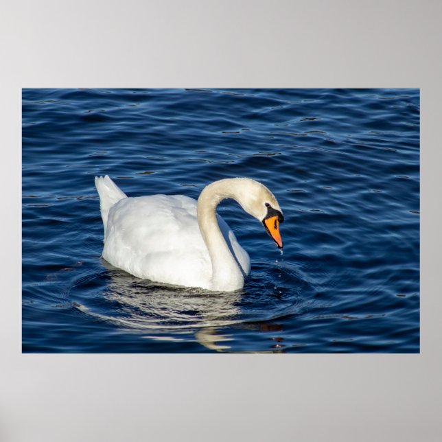 Sich Umsehen Poster (Vorne)