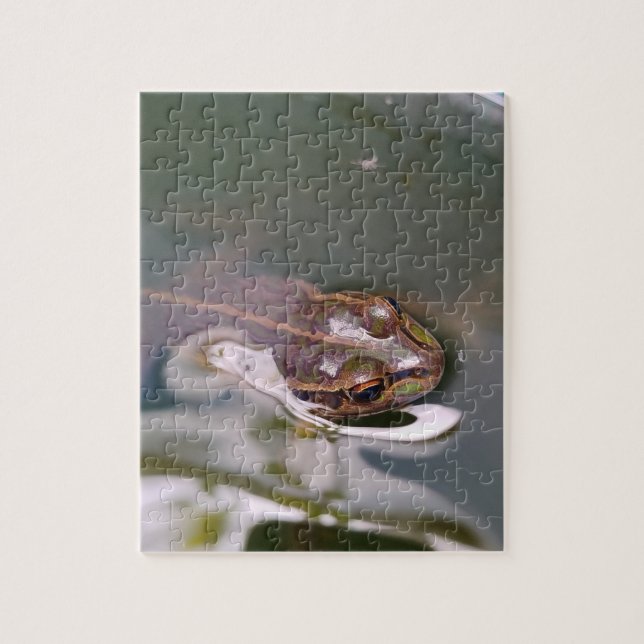 Sich umsehender Frosch (Vertikal)