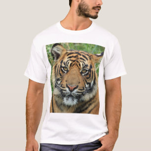 Sicher! Für einen Online-Shop, der T - Shirt verka