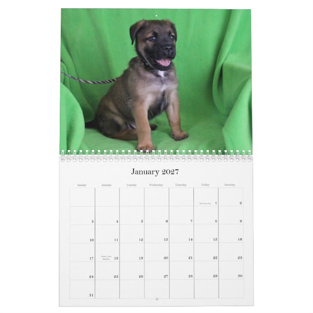 Sicherer Kalender der Handrettung 2015 (Jan 2027)