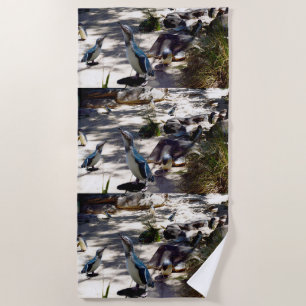 Sicheres Haven: Feenpinguin-Paradies, Strandtuch