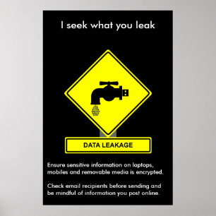 Sicherheitspatcher für Datenlecks Poster