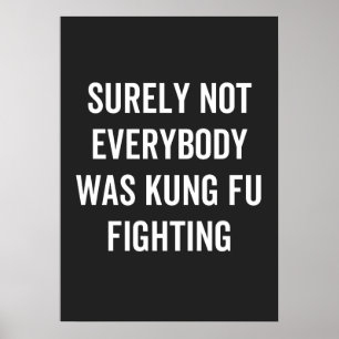 Sicherlich kämpfte nicht jeder Kung Fu Poster