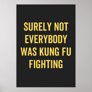 Sicherlich kämpften nicht alle gegen Kung Fu Poster