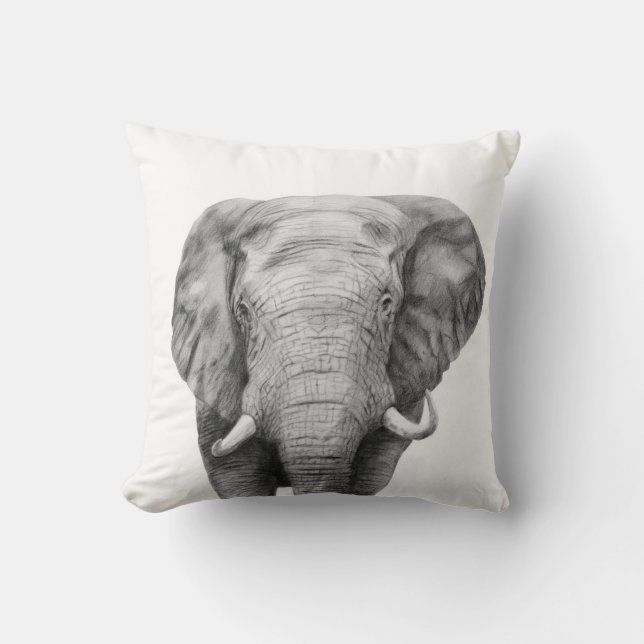 Sicherungsplan IV Kissen (Vorderseite)