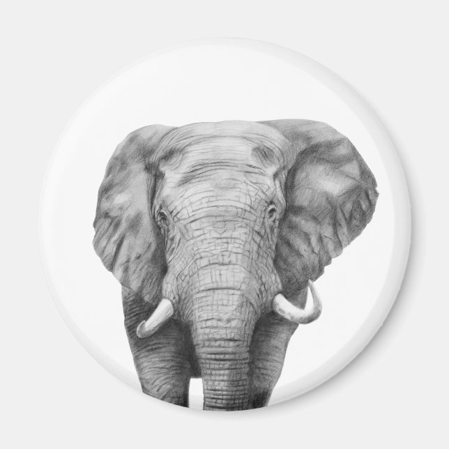 Sicherungsplan IV Magnet (Vorne)