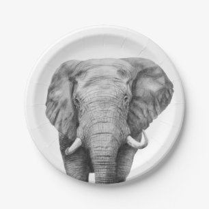 Sicherungsplan IV Pappteller