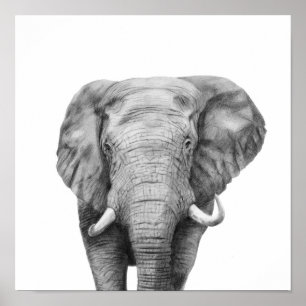 Sicherungsplan IV Poster