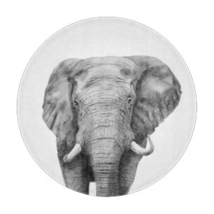 Sicherungsplan IV Schneidebrett