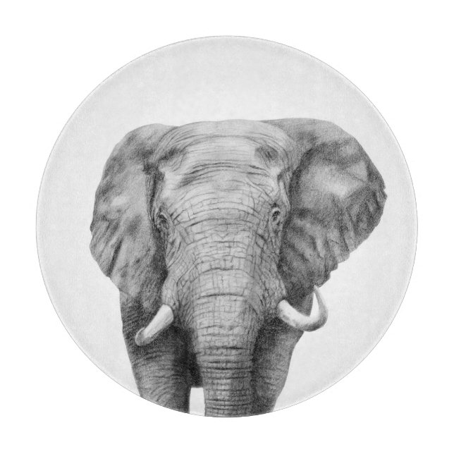 Sicherungsplan IV Schneidebrett (Vorderseite)