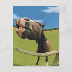 Sicht auf das Pferd aus Fischaugen Postkarte