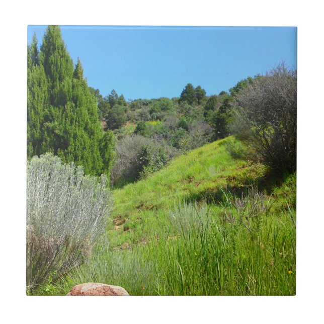 Sicht auf den grünen Tile Fliese (Vorderseite)