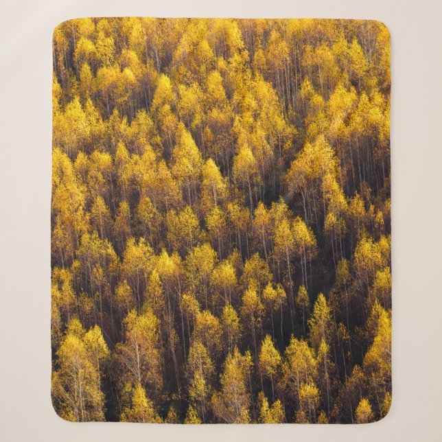 SICHT AUF DEN WALD SHERPADECKE (Vorderseite)