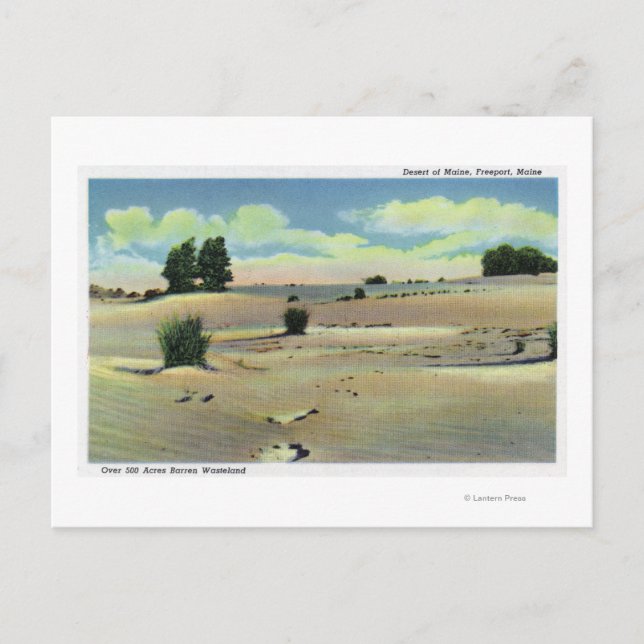 Sicht auf die Wüste Maine Postkarte (Vorderseite)