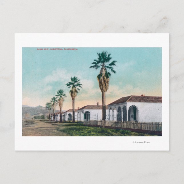 Sicht auf Palm RowCalistoga, CA Postkarte (Vorderseite)