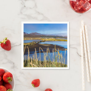 Sicht auf Saudarkrokur und Skagafjordur, Island Serviette