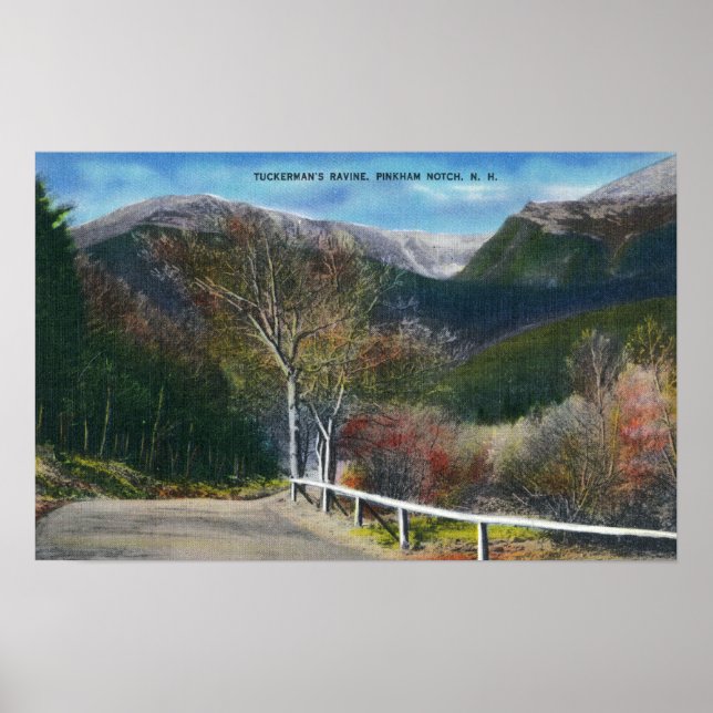 Sicht auf Tuckermans Ravine Poster (Vorne)