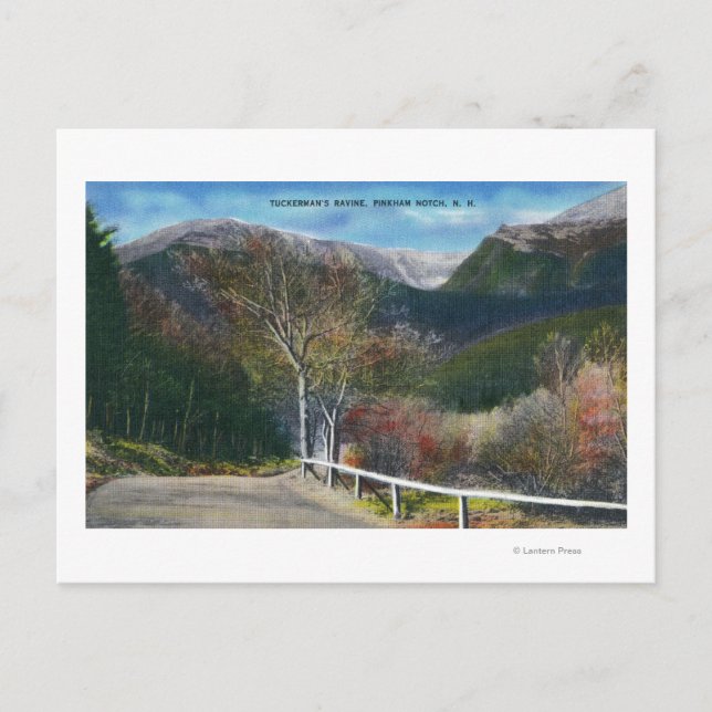Sicht auf Tuckermans Ravine Postkarte (Vorderseite)