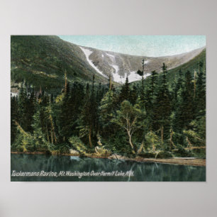 Sicht auf Tuckermans Ravine, Washington Poster
