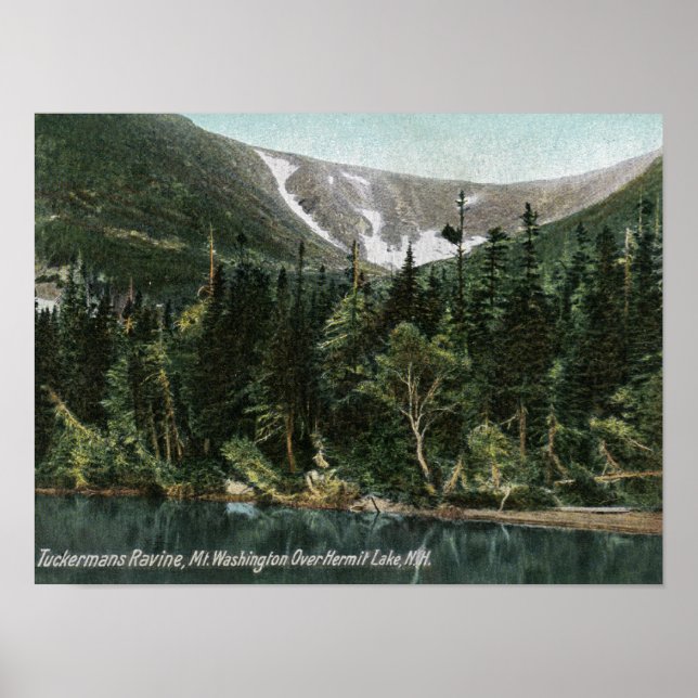 Sicht auf Tuckermans Ravine, Washington Poster (Vorne)