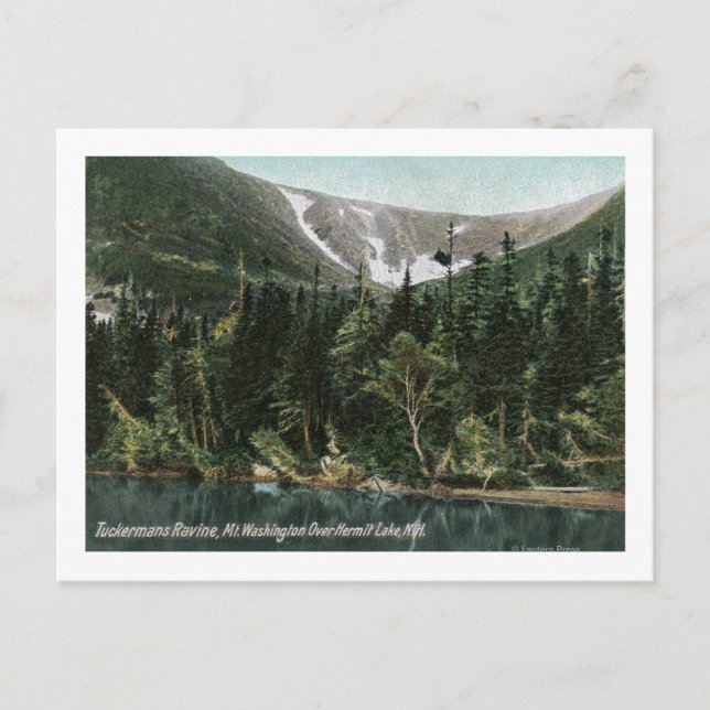 Sicht auf Tuckermans Ravine, Washington Postkarte (Vorderseite)