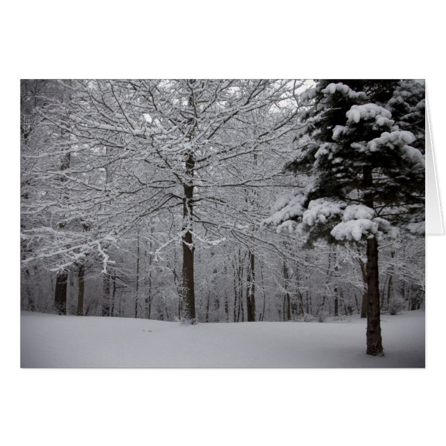 Sicht auf Wälder (Vorderseite (Horizontal))