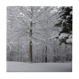 Sicht auf Wälder Fliese