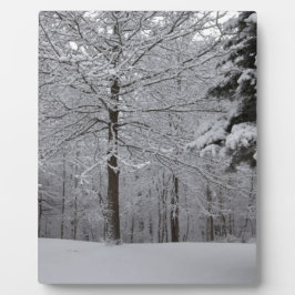 Sicht auf Wälder Fotoplatte