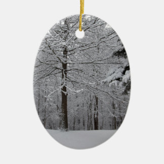 Sicht auf Wälder Keramik Ornament