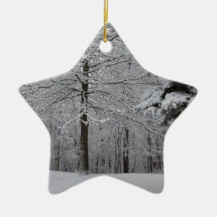 Sicht auf Wälder Keramik Ornament