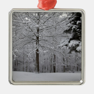 Sicht auf Wälder Ornament Aus Metall
