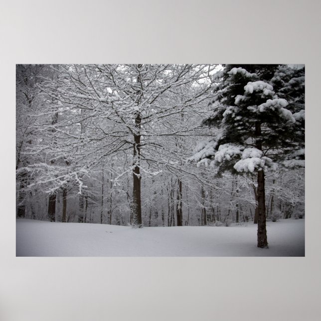 Sicht auf Wälder Poster (Vorne)