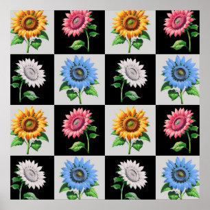 Sichtbares mehrfarbiges Blumendesign Poster
