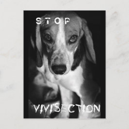 Sichtung stoppen - Postkarte