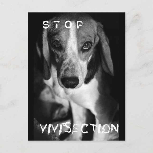 Sichtung stoppen - Postkarte (Vorderseite)