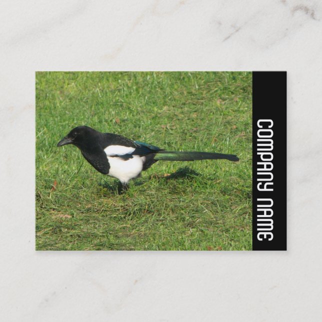 Side Band - Europäische Magpie Visitenkarte (Vorderseite)
