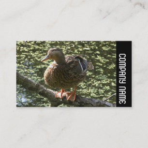 Side Band - Happy Duck Visitenkarte
