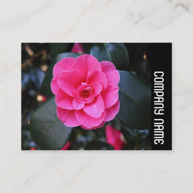 Side Band - Pink Camellia Visitenkarte (Vorderseite)