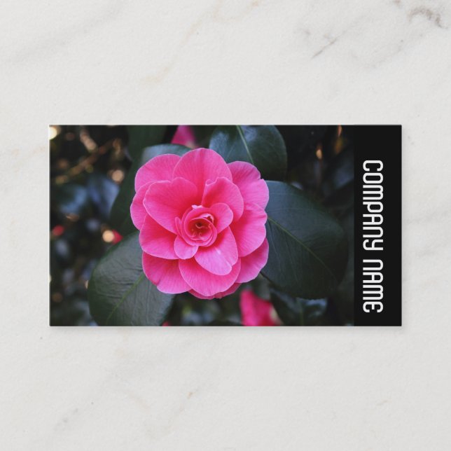 Side Band - Pink Camellia Visitenkarte (Vorderseite)