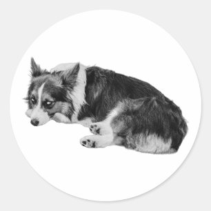 Side-Eye-Corgi-Spaß Runder Aufkleber