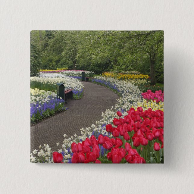 Sidewalk durch Tulpen, Düfte und Button (Vorderseite)