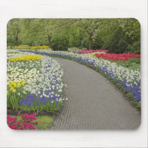 Sidewalk durch Tulpen und daffodils, 2 Mousepad