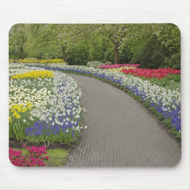 Sidewalk durch Tulpen und daffodils, 2 Mousepad (Vorne)