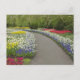 Sidewalk durch Tulpen und Narzissen, 2 Postkarte (Vorderseite)