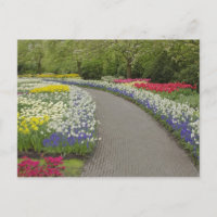 Sidewalk durch Tulpen und Narzissen, 2