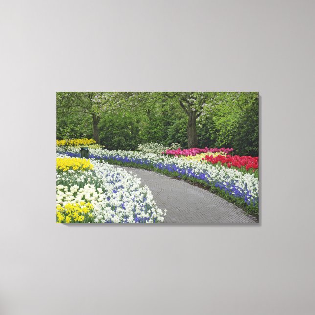 Sidewalk durch Tulpen und Narzissen, Leinwanddruck (Vorderseite)