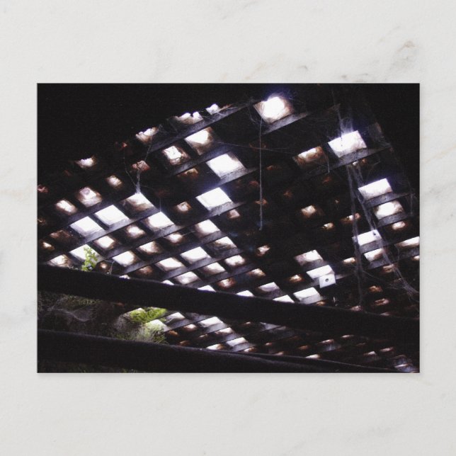 Sidewalk Himmelslicht von unten Postkarte (Vorderseite)