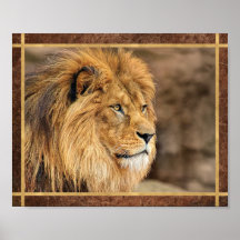 Sideway Lion Foto