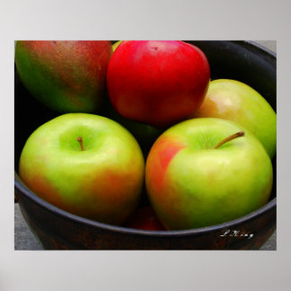 sie Äpfel Poster